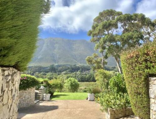 The Guardian Boutique Accommodation